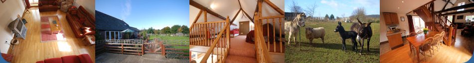The Red Barn, Rookley - self catering accommodation with access for disabled guests